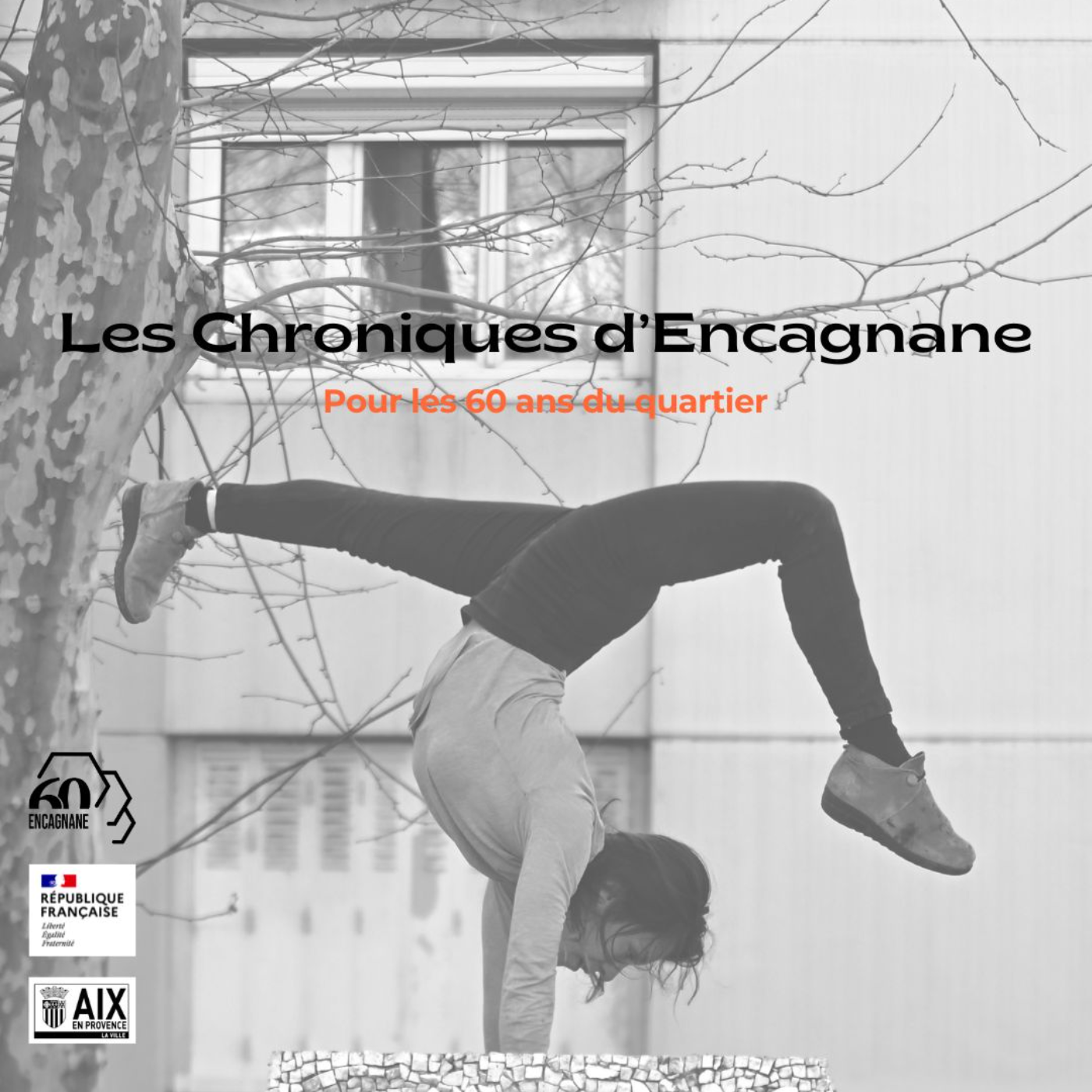 Les Chroniques d'Encagnane