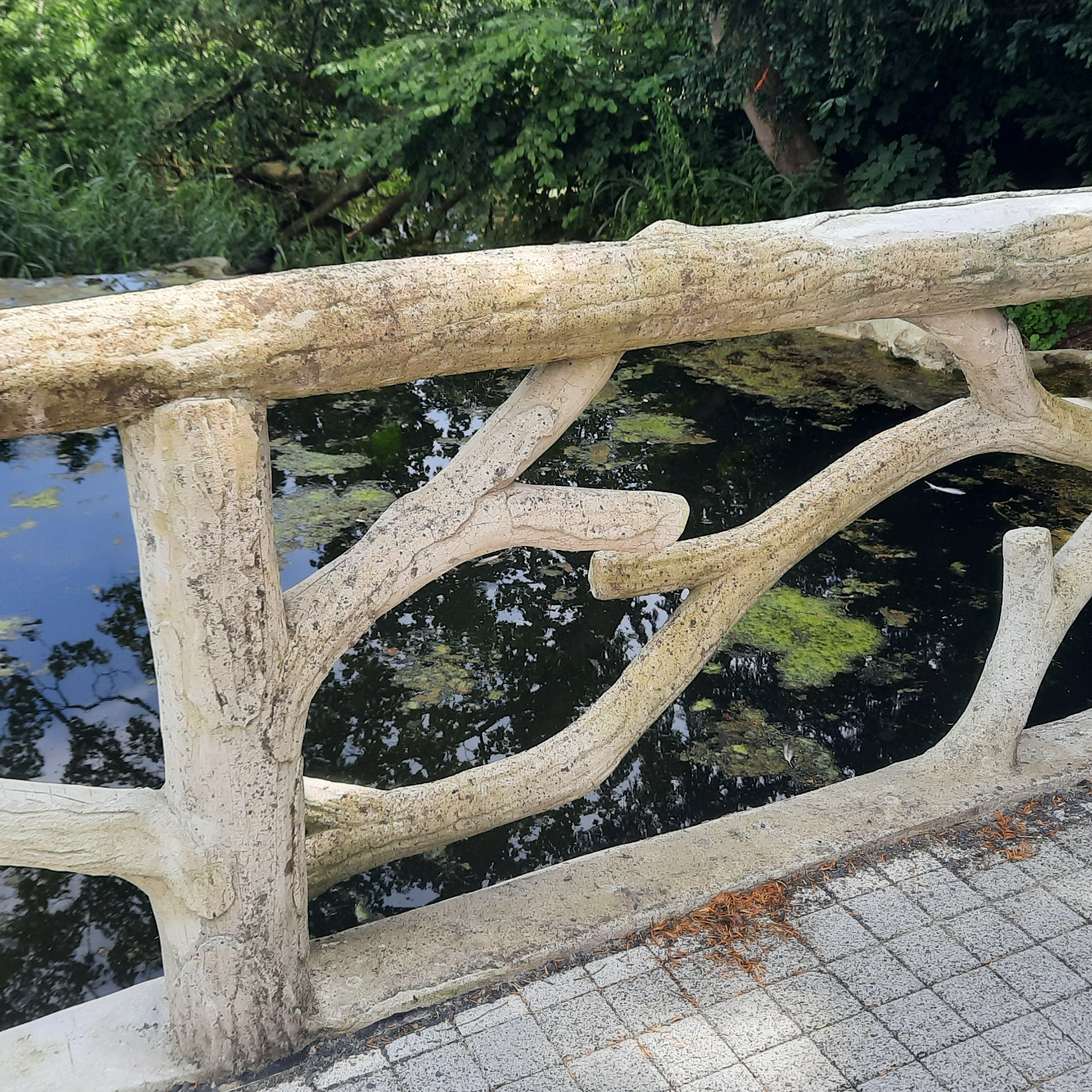 Episode 83 - Margot Wuillaume - eBloom - Parc de la Woluwe - Bruxelles