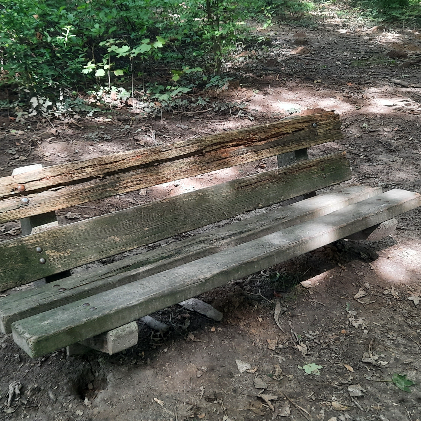 Episode 84 - David Laschet - How I met my cofounders et Le Placard - Perwez