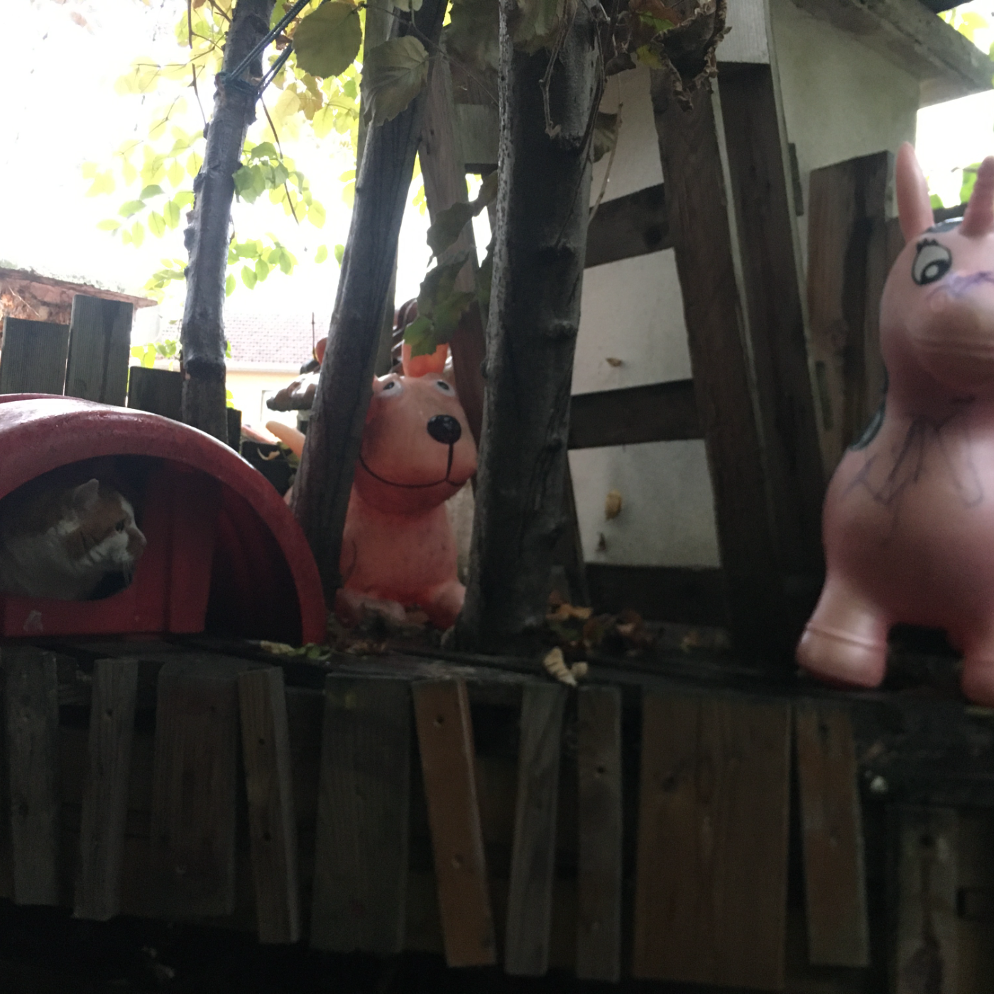 récupération d’une licorne dans les poubelles