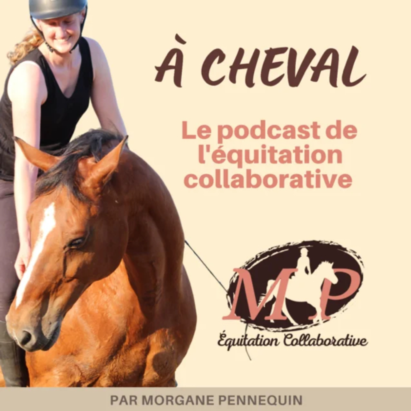 158. La zone d’apprentissage du cheval