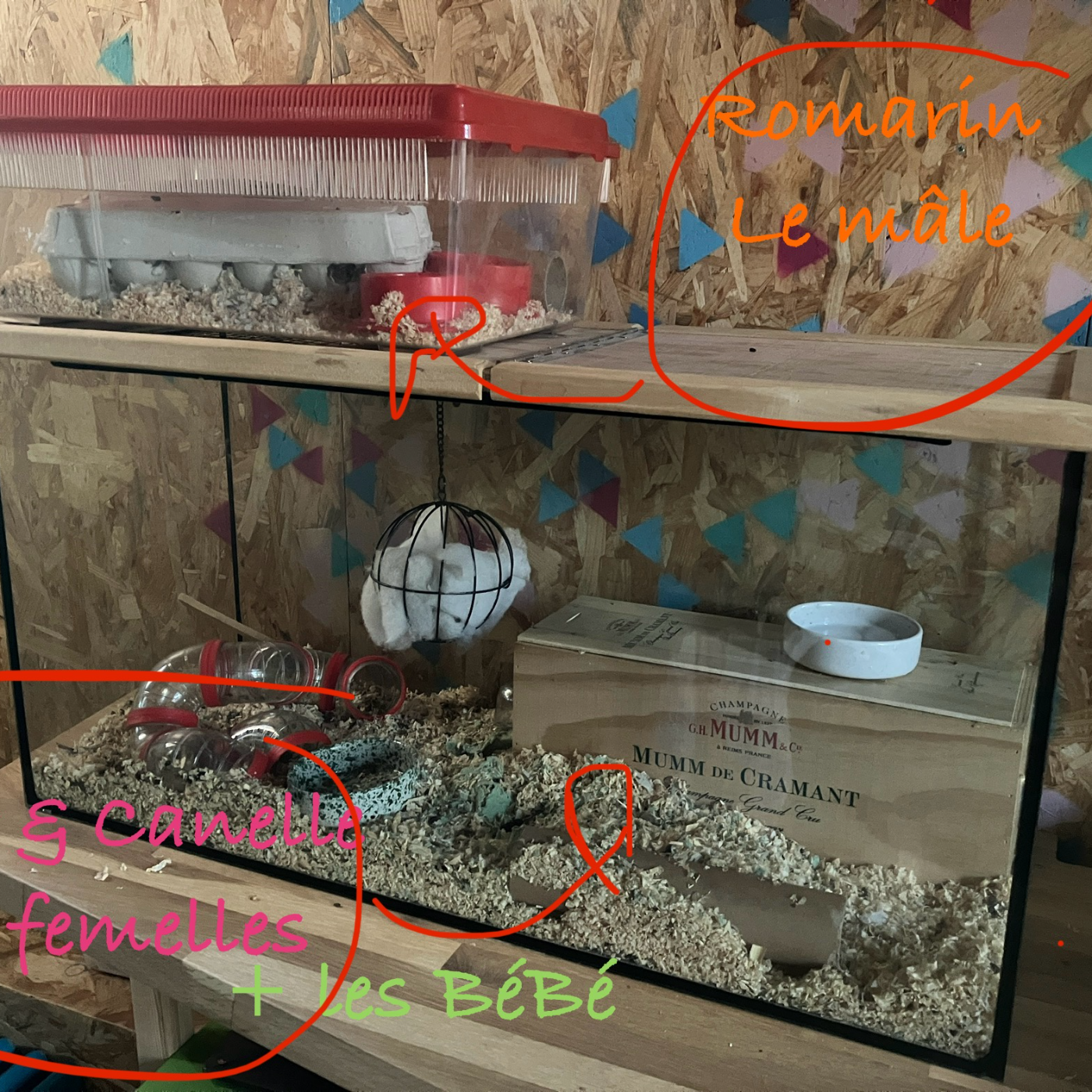 Je racontes ce que je veux dans mon podcast